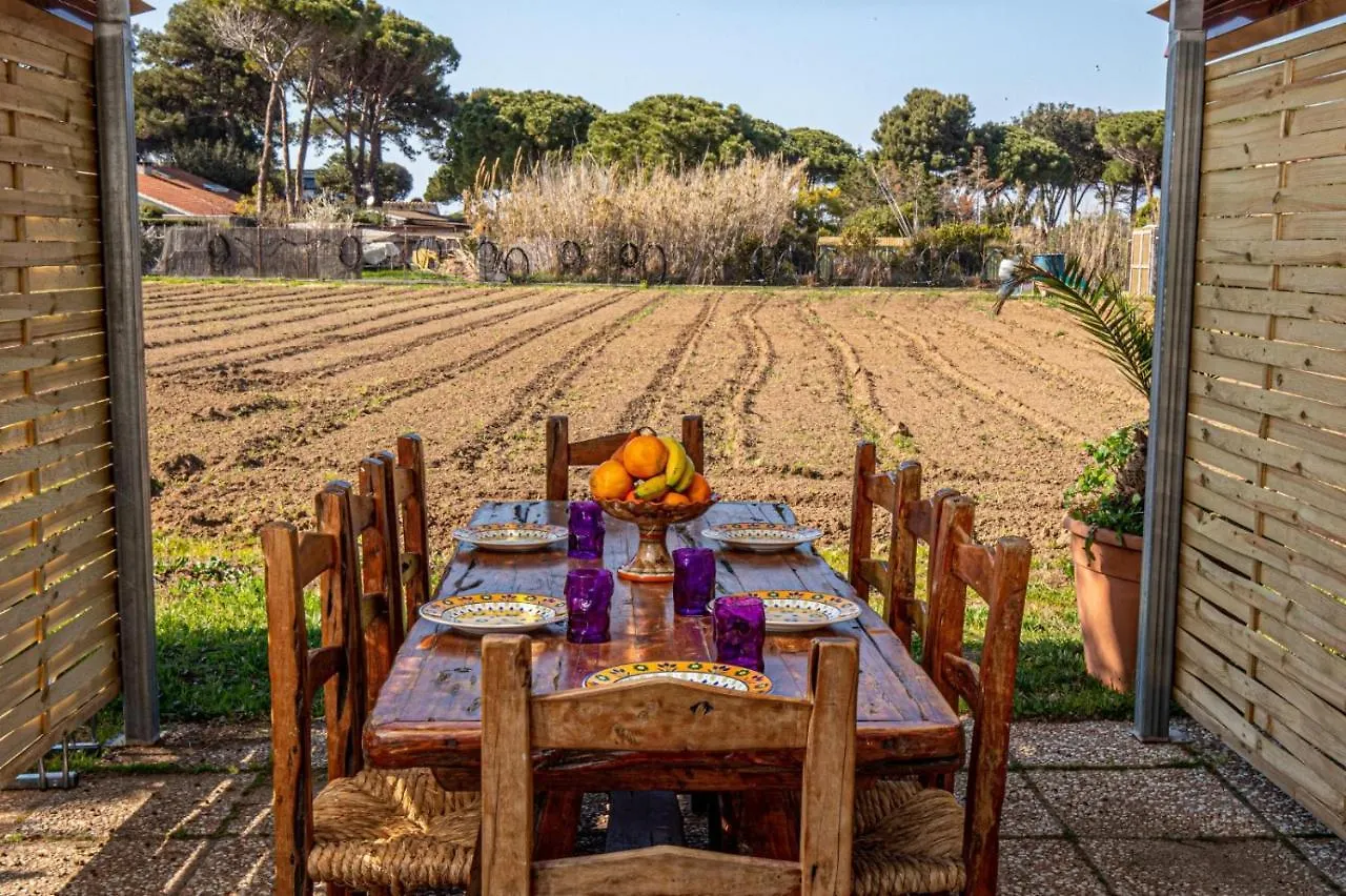 Giannella Tuscany Holidays Italy