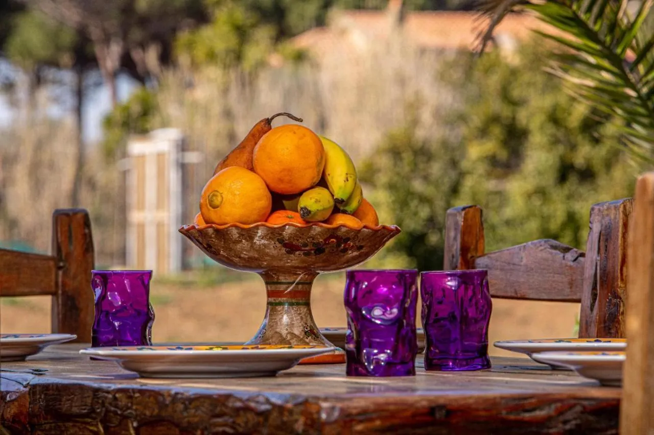 Giannella Tuscany Holidays